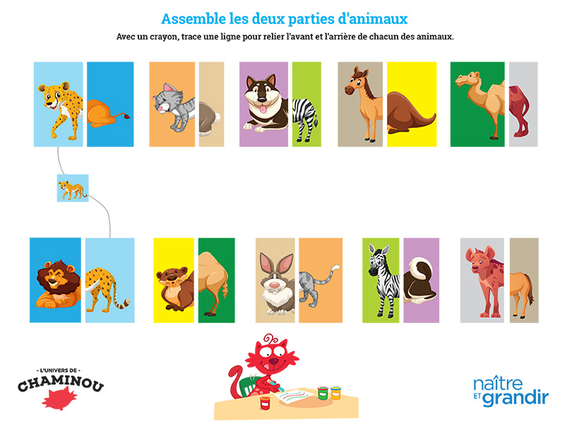 Assemble les deux parties d'animaux