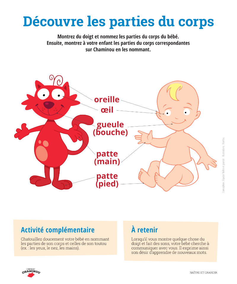 Découvre les parties du corps