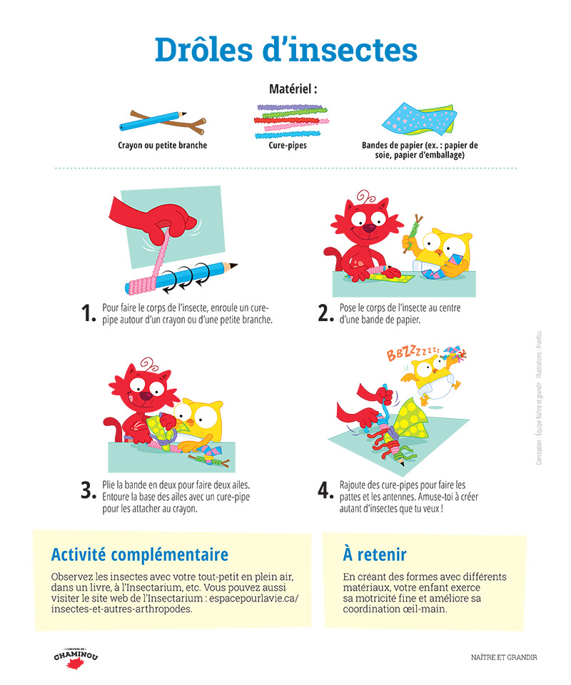 Drôles d’insectes