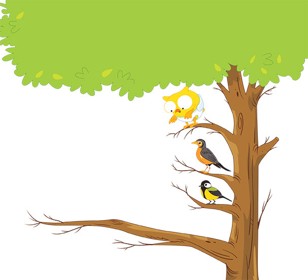 L’oiseau imaginaire