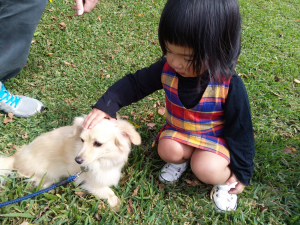 Enfant qui caresse un chien
