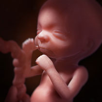 Une image contenant personne, intérieur, bébé

Description générée automatiquement