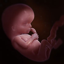 Une image contenant personne, intérieur, bébé

Description générée automatiquement