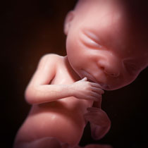Une image contenant personne, intérieur, bébé

Description générée automatiquement