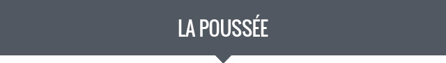 Alternate Text