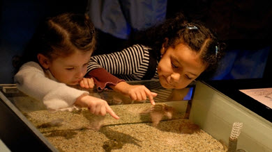 Les tout-petits visitent les musées à leur manière