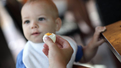 Allergies: retarder l’introduction des oeufs et des arachides augmenterait le risque