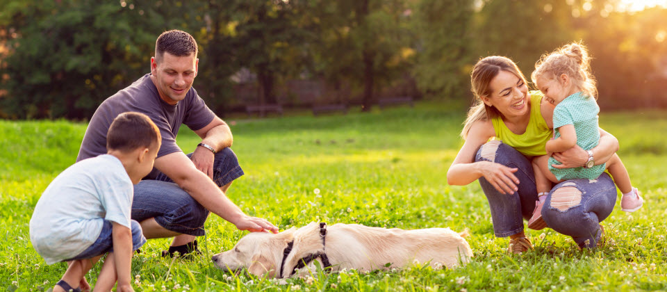 Chiens: apprendre à votre enfant à se protéger