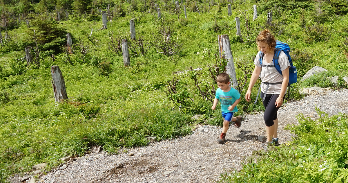 5 stratégies pour des randonnées en famille réussies
