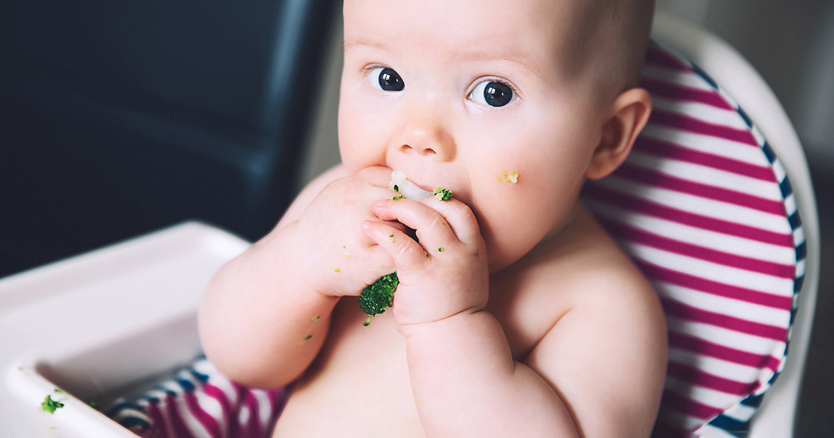 Bébé peut manger «avec pas de dents»