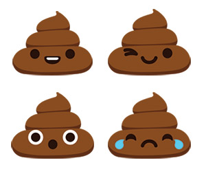 Le contenu de la couche