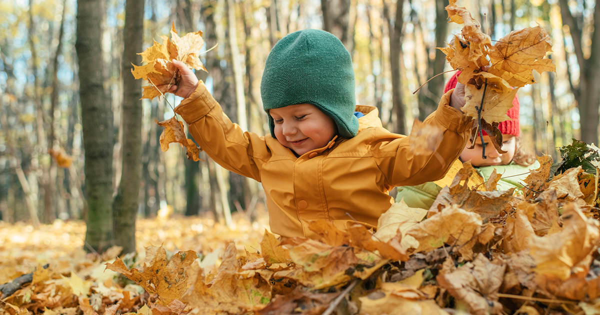 Des idées d'activités pour souligner l'automne