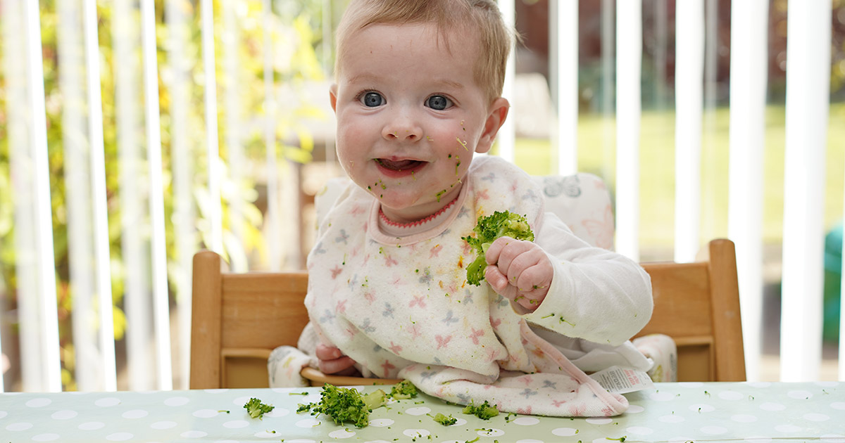 Menus pour bébé