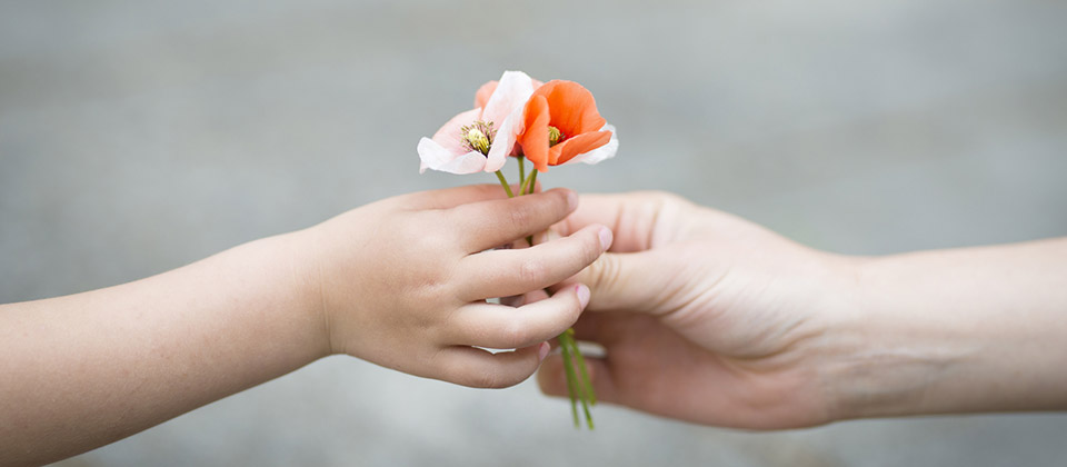 Ne tirez pas sur les fleurs