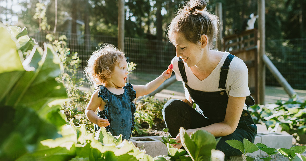 Petits et grands bonheurs d'été