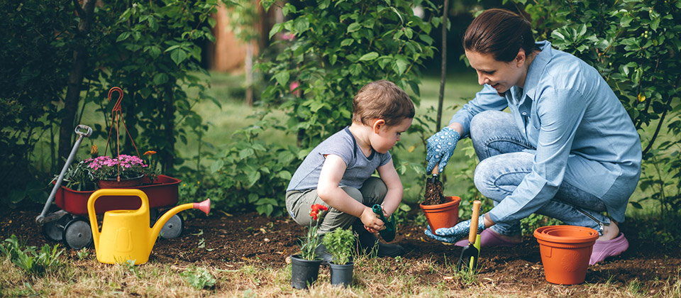 Un plan parfait de parent