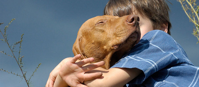 Comment soutenir un enfant lors de la mort de son animal