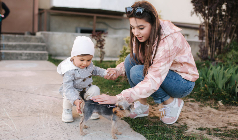 Côtoyer un animal de compagnie en toute sécurité