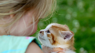 «Comme il est mignon!» Les tout-petits craquent aussi pour les bébés