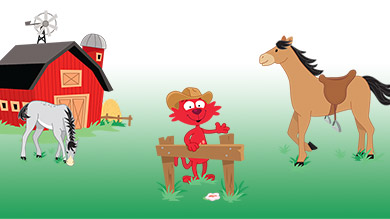 Des chevaux à la ferme
