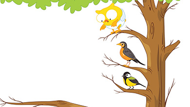 L'oiseau imaginaire
