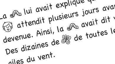 Papillon, papillon…