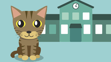 Un chaton dans la cour d'école