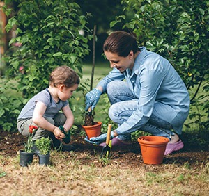 Un plan parfait de parent