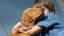 Comment soutenir un enfant lors de la mort de son animal