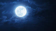 Les enfants et la pleine lune